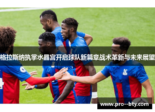 格拉斯纳执掌水晶宫开启球队新篇章战术革新与未来展望 格拉斯纳执掌水晶宫开启球队新篇章战术革新与未来展望